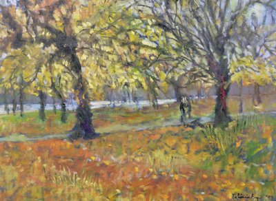 November in Hyde Park by Patricia Espir